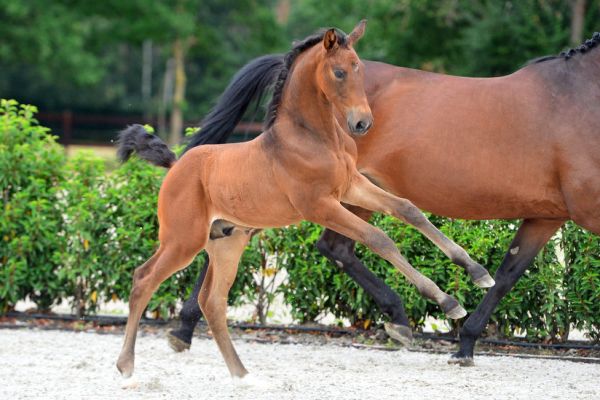 20200725-ga75536-1 20200725-ga75536-1