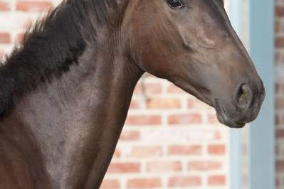 20170615-b-27784 20170615-b-27784