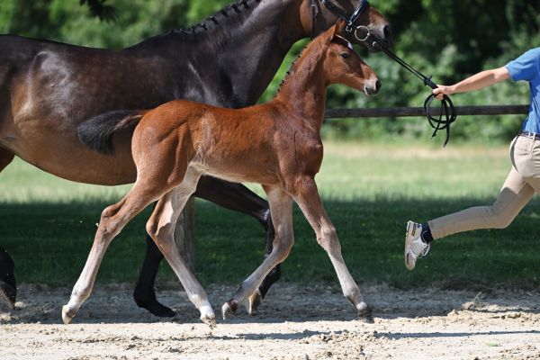 47 Uricas Way Z 47 Uricas Way Z