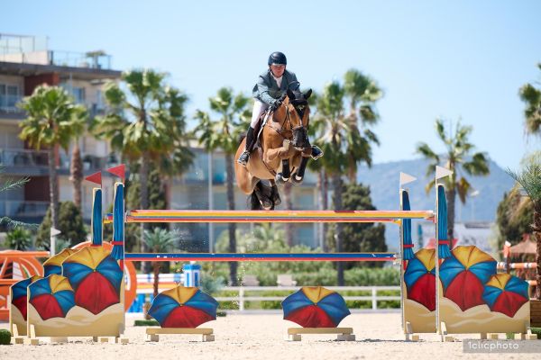 Consulent de Prelet Z Consulent de Prelet Z