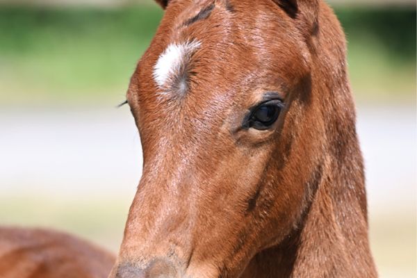 47 Uricas Way Z 47 Uricas Way Z