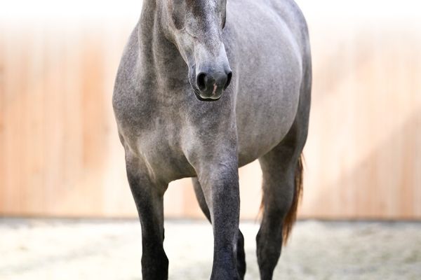 04 Calulah De Lorette Z 04 Calulah De Lorette Z