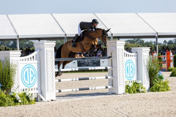 375050390_707906768046817_5358191194766931367_n 375050390_707906768046817_5358191194766931367_n