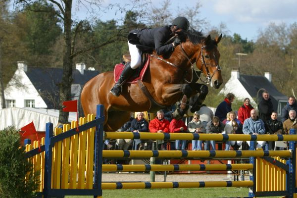 Kashmir van Schuttershof & Philippe Lejeune © sportfot