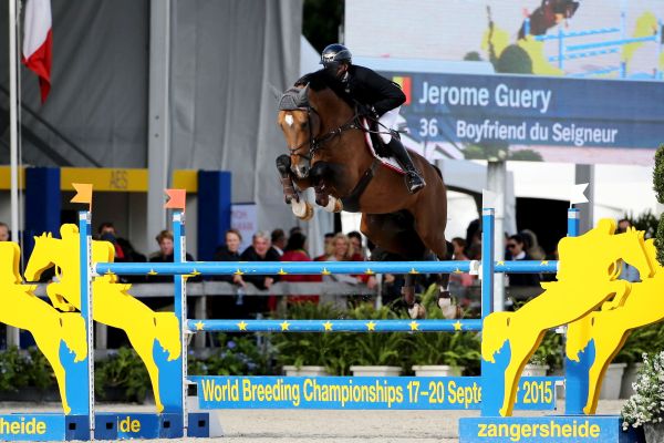 Boyfriend du Seigneur & Jerome Guery © sportfot Boyfriend du Seigneur & Jerome Guery © sportfot