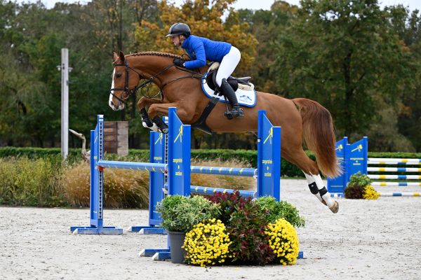 Lausanne Z Lausanne Z