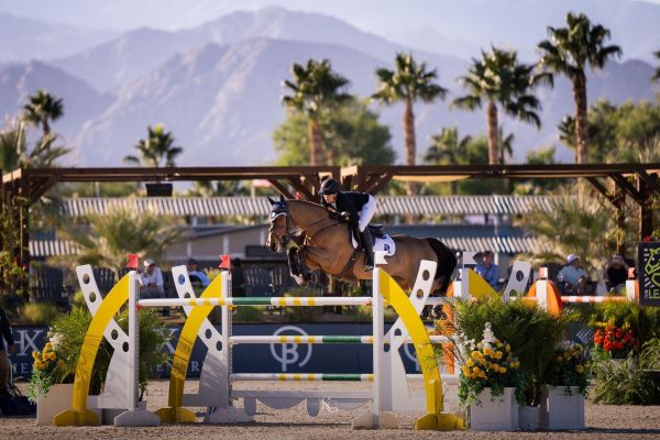 Bonita vh Keizershof Z - Ali Ramsay - ©Ali Ramsay Bonita vh Keizershof Z - Ali Ramsay - ©Ali Ramsay