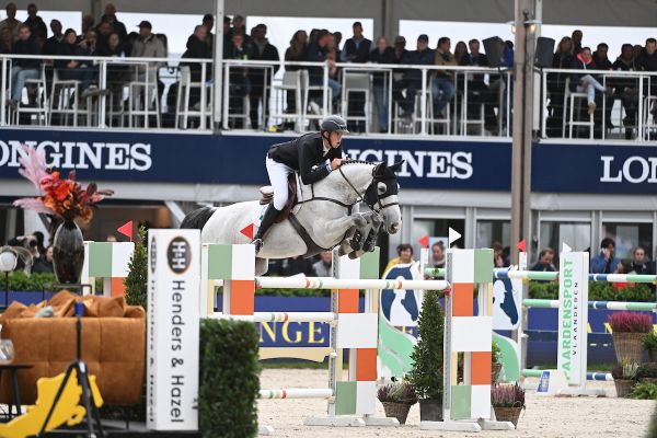 Call Me De Muze Z - Andres Vereecke - ©Paardenfotograaf Call Me De Muze Z - Andres Vereecke - ©Paardenfotograaf