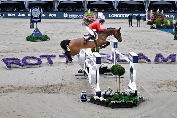 Casual DV Z - Pieter Devos - ©Paardenfotograaf Casual DV Z - Pieter Devos - ©Paardenfotograaf