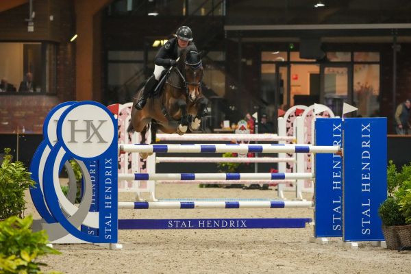 El Salvador van 't Schaaphof Z - Sammy Jo Coffin - ©Sportfot Kronenberg El Salvador van 't Schaaphof Z - Sammy Jo Coffin - ©Sportfot Kronenberg