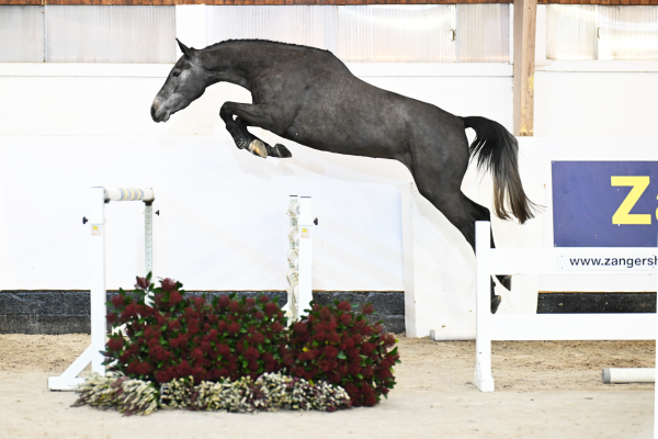 Mumbai x Kannan Vaina van het Lindehof