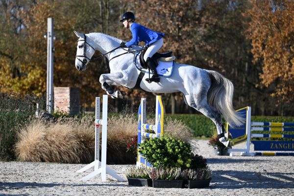 Kazan Z x Artos Z Kalliope Z