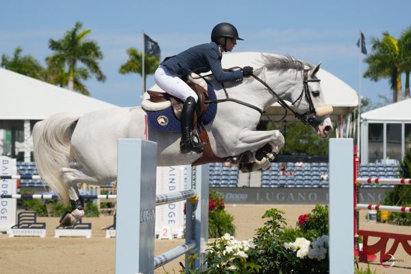 Cyramo Z - Jacqueline Ruyl - ©Sportfot Cyramo Z - Jacqueline Ruyl - ©Sportfot