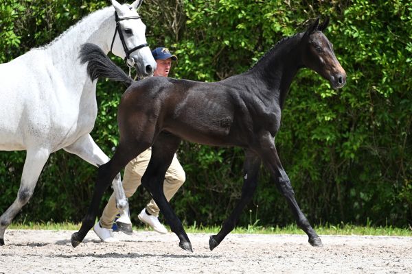 948_6420 Haddaway A&S Z 948_6420 Haddaway A&S Z