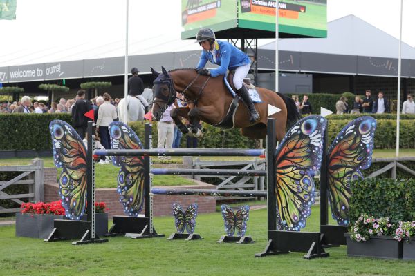 Applebridge TAG Z - Christian Ahlmann - @Sportfot