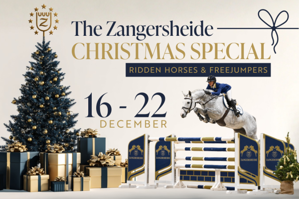 Z-Special Website Banner