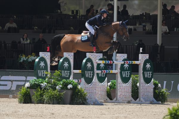 Extreme vd Kattevennen Z