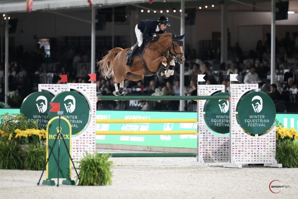 Landon de Nyze Z - Mark Bluman - &copy;Sportfot Wellington International