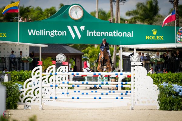 Colibelle Hero Z - Darragh Kenny - &copy;Sportfot WEF 8