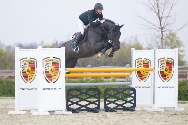 DI CANTERO VAN TER HULST Z x JENSON VAN 'T MEULENHOF Rob Roy vd Bisschop Z