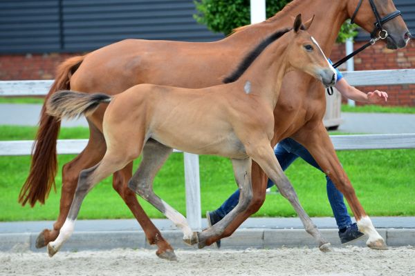 20200705-ga79221-2-large 20200705-ga79221-2-large