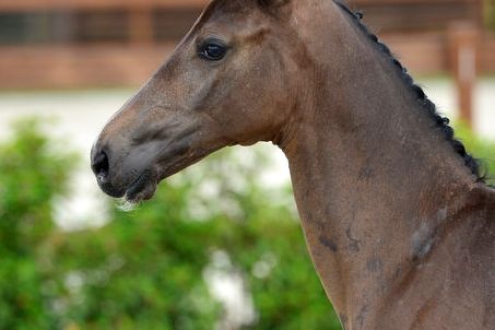 20200725-ga76098-1 20200725-ga76098-1