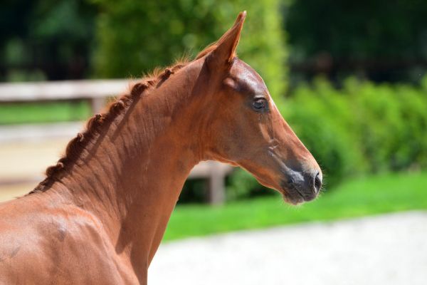 20200719-ga74519-1 20200719-ga74519-1