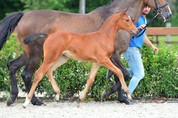 20200725-ga76180-1 20200725-ga76180-1