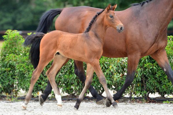 20200725-ga75573-1 20200725-ga75573-1