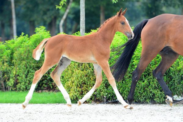 20200717-ga77469-1 20200717-ga77469-1