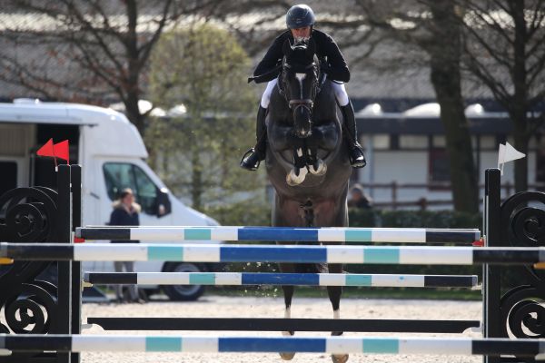 OPTIMUS 2000 Z - This athletic colt is the brother to Angelique Rüsen's ...