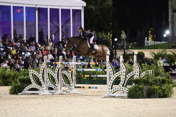 Toulayna van het Bloesemhof Z Toulayna van het Bloesemhof Z