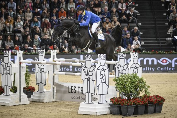 Dominator 2000 Z Dominator 2000 Z