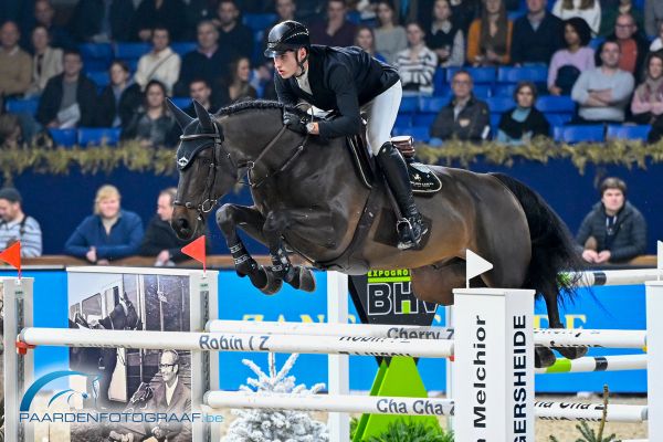 Obama de la Liniere - Thibault Philippaerts - ©Paardenfotograaf