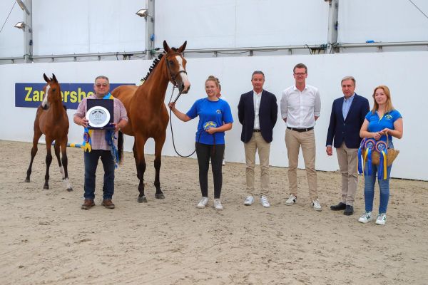 Dora de Poteau Z (Dourkhan Hero Z x Halifax van het Kluizebos) Dora de Poteau Z (Dourkhan Hero Z x Halifax van het Kluizebos)