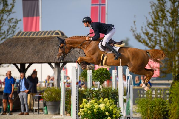 Christal De Laubry Z - Maverick Van Lent - ©Pegasus Christal De Laubry Z - Maverick Van Lent - ©Pegasus