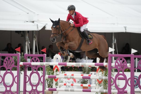 Grigia Br Z - Pius Schwizer - ©Sportfot Ascona Grigia Br Z - Pius Schwizer - ©Sportfot Ascona