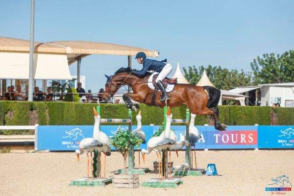 Tabasco de Toxandria Z - Tom Wachman - ©Moura Tours Valencia Tabasco de Toxandria Z - Tom Wachman - ©Moura Tours Valencia