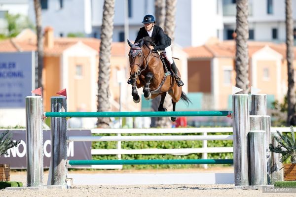 Quark de Preuilly Z - Mariano Martinez Bastida - @Hervé Bonnaud Quark de Preuilly Z - Mariano Martinez Bastida - @Hervé Bonnaud