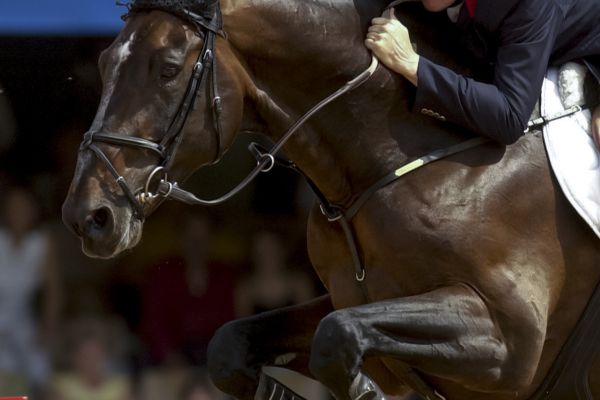 Eric Levallois_Diamand de Semilly Eric Levallois_Diamand de Semilly