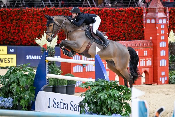 Beauville Z N.O.P. - Maikel van der Vleuten - @Fotografie Stuppia Beauville Z N.O.P. - Maikel van der Vleuten - @Fotografie Stuppia