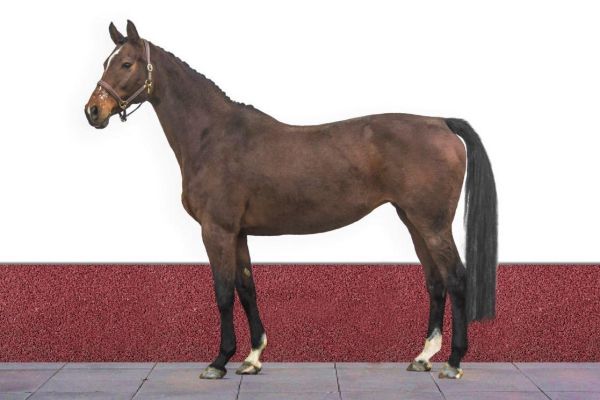 Cloud no. Seven Cloud no. Seven