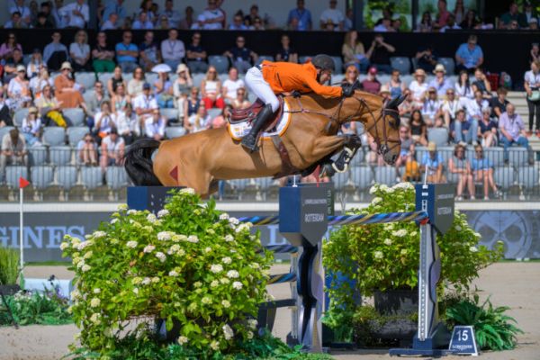 Beauville Z N.O.P. - Maikel van der Vleuten - ©CHIO Rotterdam