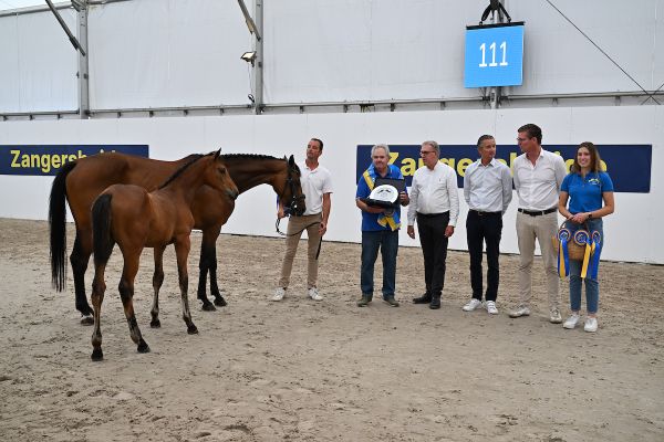 Dorie Proud Girl Z (Django Z x Untouched LB)