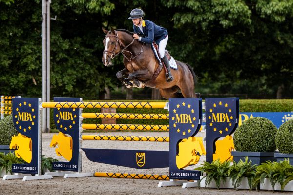 D Chaque Fois de Semilly Z D Chaque Fois de Semilly Z