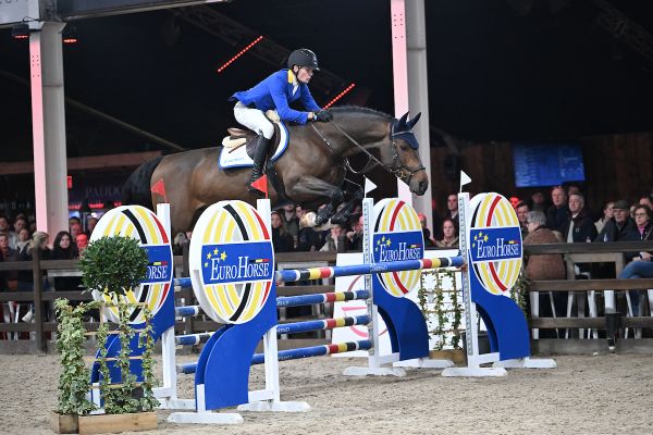 Django Z - Alexander Housen - &copy;Paardenfotograaf