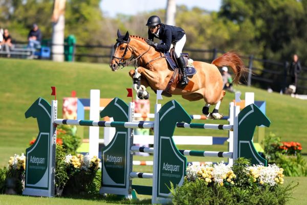 Landon de Nyze Z - Mark Bluman - &copy;Wellington International - Cassidy Klein