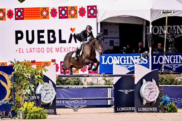 Brin d&rsquo;Or de Haute Melen Z - Sharn Wordley - &copy;FEI - Rodrigo Cece&ntilde;a