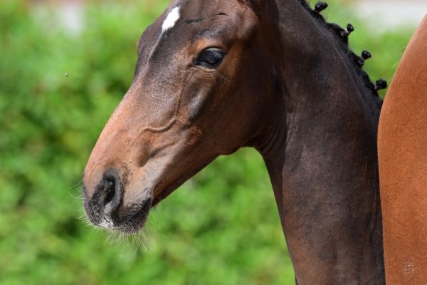 crazy-stupid-love-z crazy-stupid-love-z