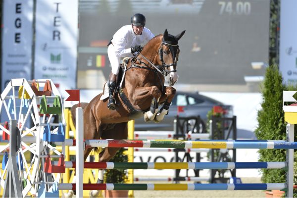 OGANO SITTE x CHELLANO Z Aganix du Seigneur Z